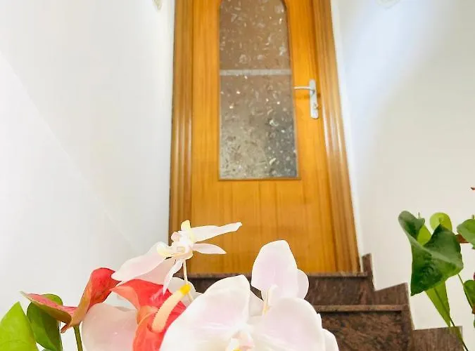 Hébergement de vacances Casa Colomba Anacapri (Isola di Capri)